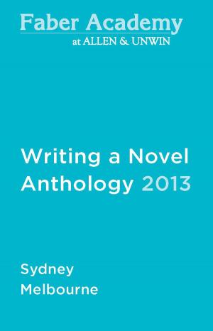 Cover of Writing a Novel Anthology, 2013