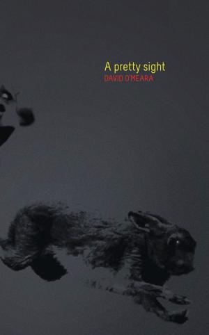 Cover of the book A Pretty Sight by Bonnie Mutchler