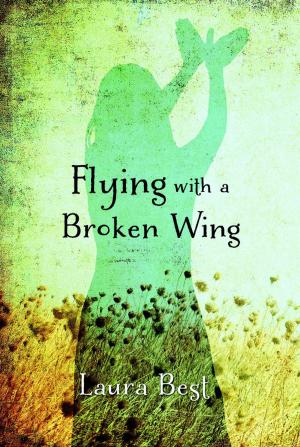 Cover of the book Flying With a Broken Wing by Dan Soucoup