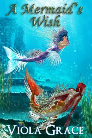 bigCover of the book A Mermaid's Wish by 