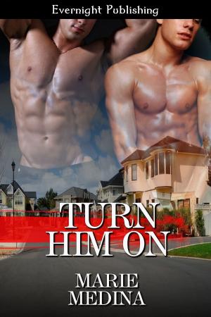 Cover of the book Turn Him On by April Zyon