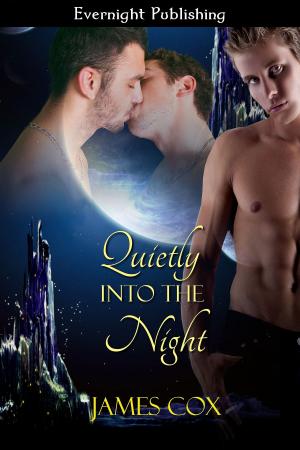 Cover of the book Quietly into the Night by Ravenna Tate