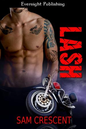 Cover of the book Lash by Amber Morgan