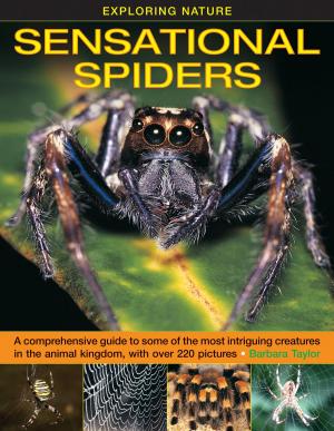 Book cover of Sensational Spiders