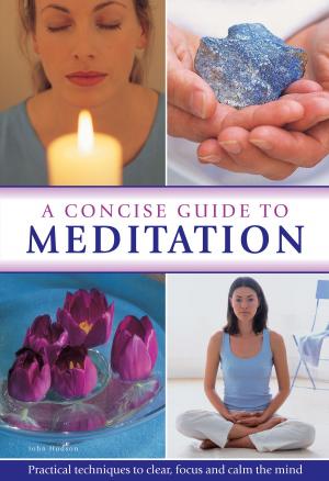Cover of the book A Concise Guide to Meditation by Marie Birkinshaw