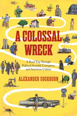 Cover of the book A Colossal Wreck by B.R. Ambedkar