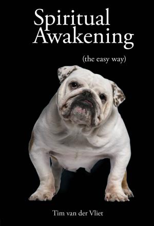 Cover of Spiritual Awakening (The Easy Way)