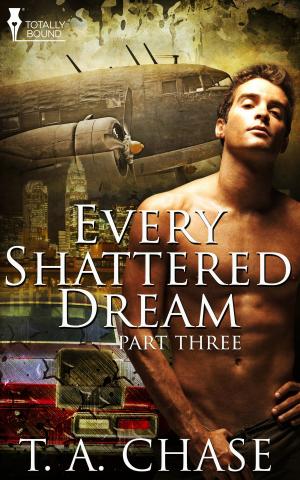 Cover of the book Every Shattered Dream: Part Three by Elizabeth Coldwell