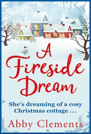 Cover of the book A Fireside Dream by Lucy Atkins