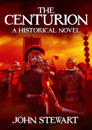 Cover of the book The Centurion by Barrington Barber