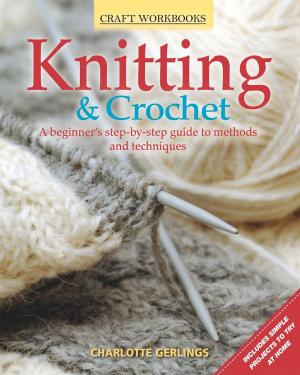 Cover of the book Craft Workbook: Knitting & Crochet by Paul Roland