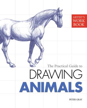 Cover of the book Artist's Workbook: Animals by Eve Oxberry