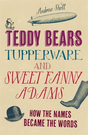 Cover of the book Teddy Bears, Tupperware and Sweet Fanny Adams by Steve Crawshaw, Ai Weiwei