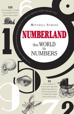 Cover of the book Numberland by Stewart Ross