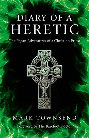 Cover of the book Diary of a Heretic by Neville Hodgkinson