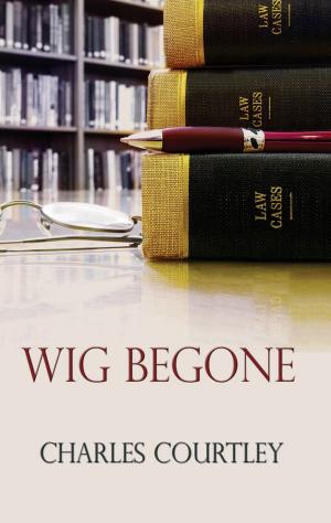 Cover of the book Wig Begone by Gina Azizah