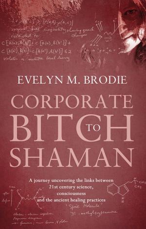 Cover of the book Corporate Bitch to Shaman by C A Lockwood