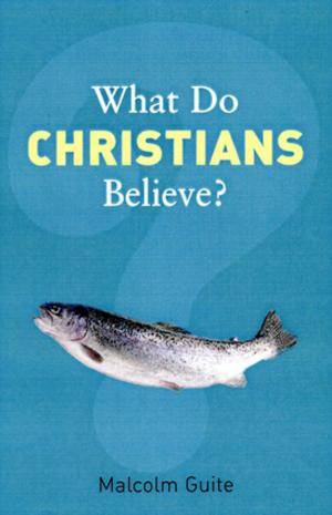 Book cover of What Do Christians Believe?