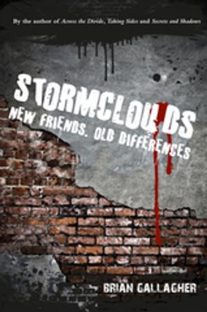 Book cover of Stormclouds