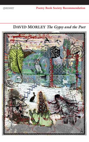 Cover of the book The Gypsy and the Poet by Gabriel Josipovici
