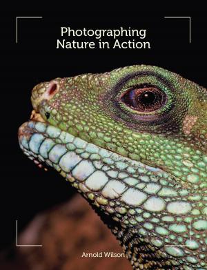 Cover of the book Photographing Nature in Action by Richard Blagrove