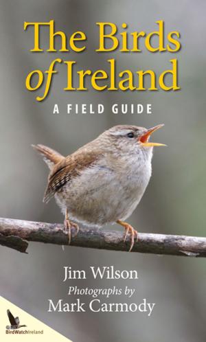 Cover of the book The Birds of Ireland by Peadar O'Dowd