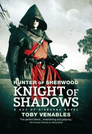bigCover of the book Knight of Shadows by 