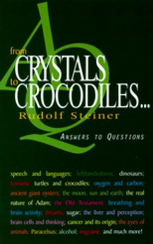 Cover of the book From Crystals to Crocodiles by Jochen Schwuchow, John Wilkes, Iain Trousdell