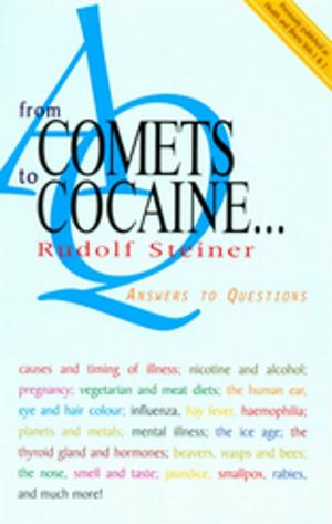 Book cover of From Comets to Cocaine...