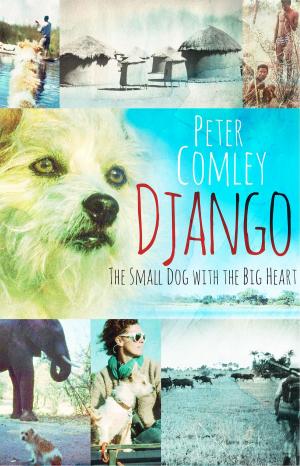 Cover of the book Django by Marida Fitzpatrick