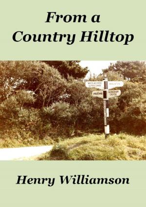 Cover of the book From a Country Hilltop by Janet Balcombe