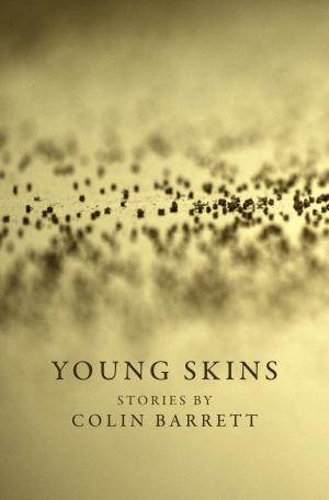 Book cover of Young Skins