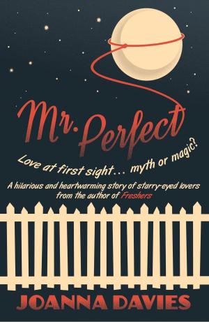 Cover of the book Mr Perfect by Caroline Ross