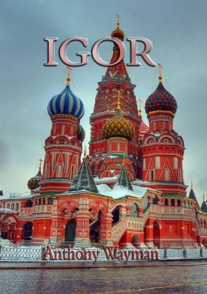 Cover of the book IGOR by T. J. Edwards