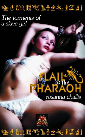Cover of the book Flail of the Pharaoh by Bruce McLachlan
