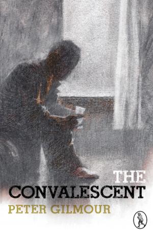 Book cover of The Convalescent