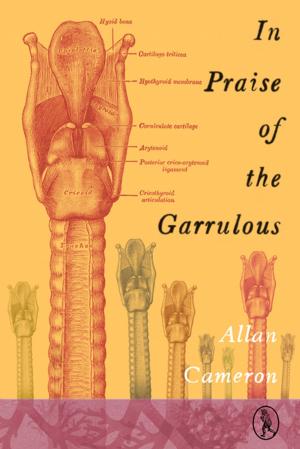 Cover of the book In Praise of the Garrulous by John Smithback, Ching Yee Smithback