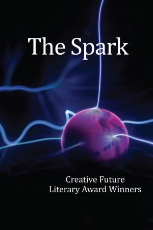 Cover of the book The Spark by K. C. Boone, MSFE