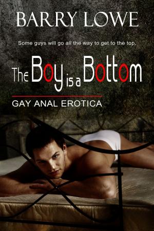 Cover of the book The Boy Is A Bottom by Barry Lowe