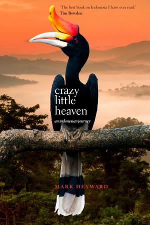 Cover of the book Crazy Little Heaven by Roger Averill