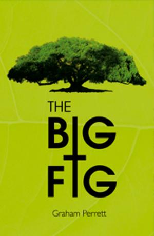 Cover of the book The Big Fig by Ross Davies