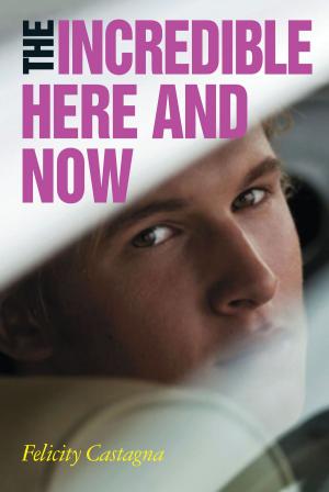 Cover of the book The Incredible Here and Now by Martin Edmond