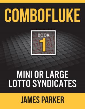 bigCover of the book Combofluke Book 1 by 