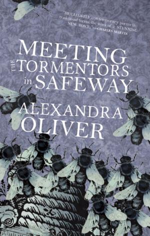 Cover of the book Meeting the Tormentors in Safeway by David Solway