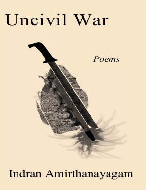 Cover of the book Uncivil War by Ava Homa