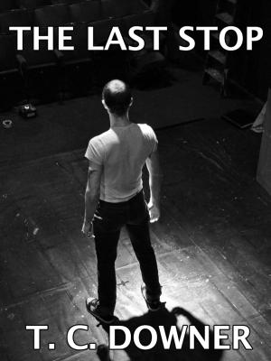 Book cover of The Last Stop