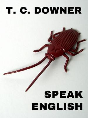 Cover of the book Speak English by Megan Payne