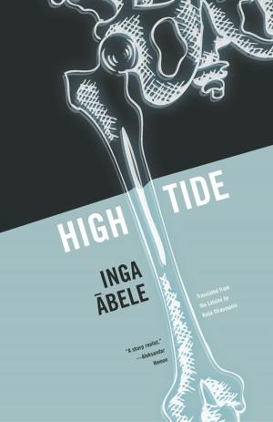 Cover of the book High Tide by Carlos Labbé