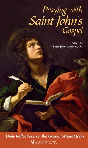 Cover of the book Praying with Saint John's Gospel by Fabrice Hadjadj