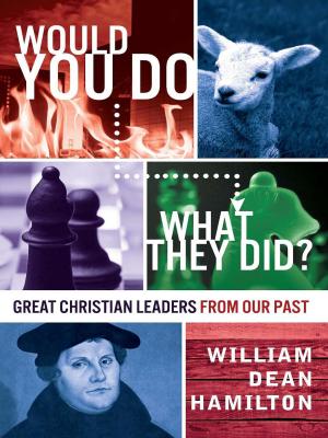 Book cover of Would You Do What They Did?